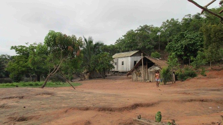 UNICEF: mais de 420 mil crianças são afetadas pela escassez de água e seca na Região Amazônica