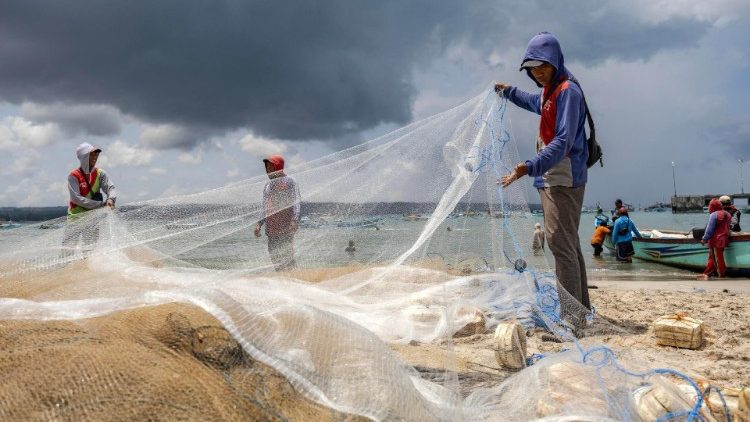 Pesca, Czerny: proteger o setor contra o desenvolvimento predatório