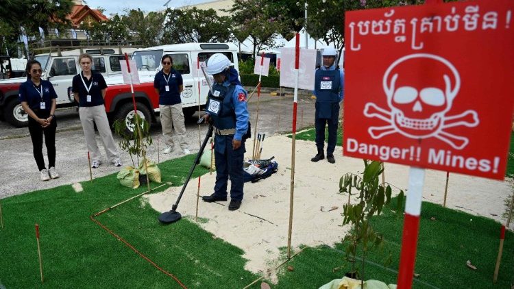 Balestrero: oferecer assistência integral às vítimas de minas antipessoais