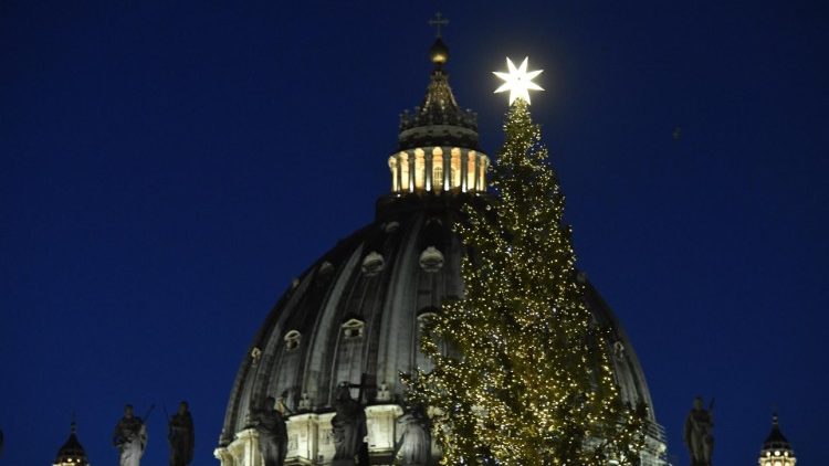 Começam as preparações do Natal no Vaticano com a chegada do pinheiro na Praça São Pedro