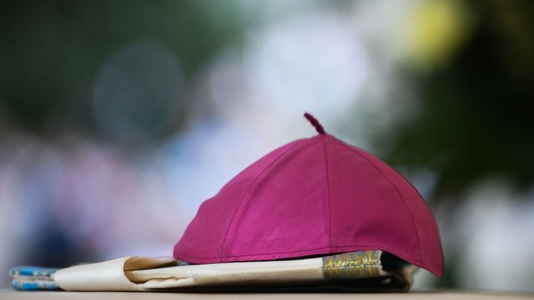 Renúncia e nomeação de bispo para Diocese de Guarda, Portugal