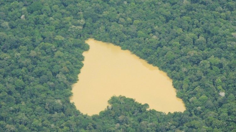 A Amazônia no coração do Papa: 12 marcos do seu pontificado