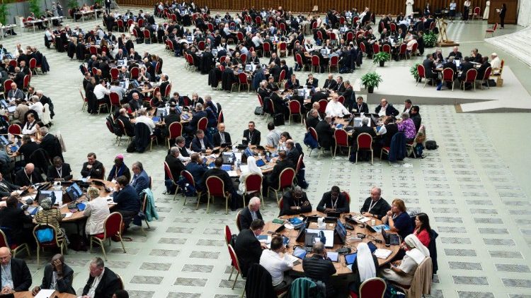 Sínodo, um “plano de trabalho” para o processo de acompanhamento
