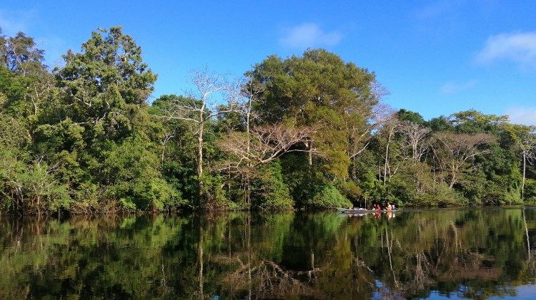 Lusofonias. ‘Laudato Si’, Encíclica do Papa Francisco, dez anos depois Lusofonias. ‘Laudato Si’, Encíclica do Papa Francisco, dez anos depois