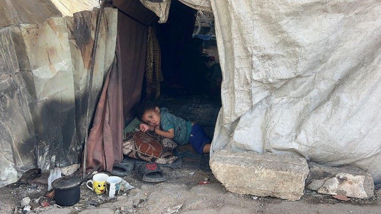 Pe. Ibrahim Faltas: a Terra Santa sofre, e não chamem isso de guerra Pe. Ibrahim Faltas: a Terra Santa sofre, e não chamem isso de guerra