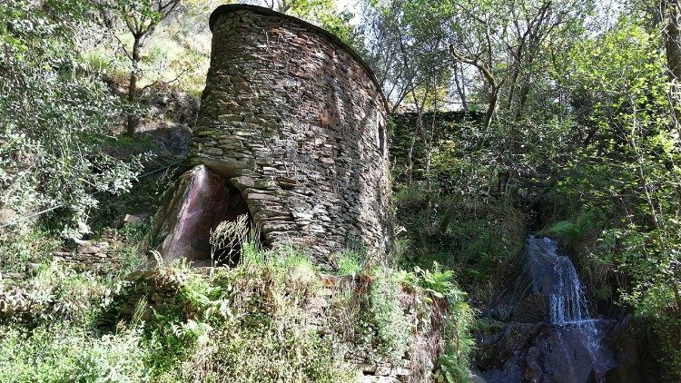 Lusofonias. Proteger a Criação, num mundo a arder …