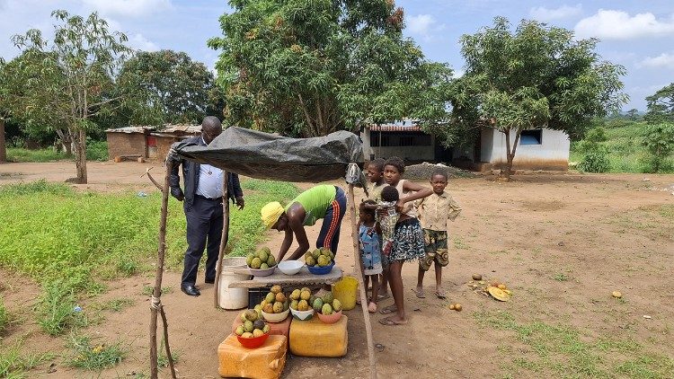 Lusofonias. Angola às portas do meio século Lusofonias. Angola às portas do meio século