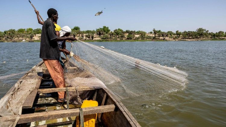 Regiões setentrionais da Nigéria sofrem de insegurança alimentar Regiões setentrionais da Nigéria sofrem de insegurança alimentar