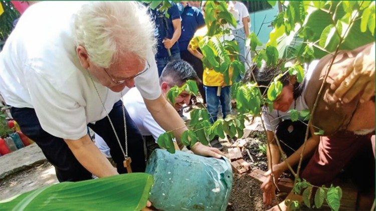 “Semeaduras”: ações de ecologia integral da Arquidiocese de Manaus