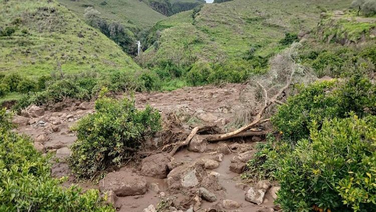 Dom Chami: Deslizamento de terra no Sudão, um desastre humano, tragédia insuportável Dom Chami: Deslizamento de terra no Sudão, um desastre humano, tragédia insuportável