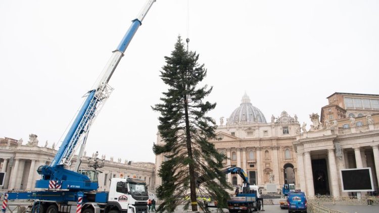 Natal no Vaticano: presépio da Campânia e árvore da província de Bolzano