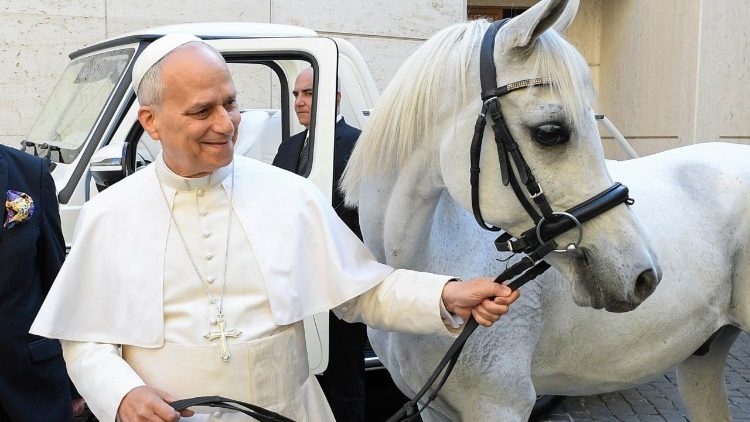 Um polonês presenteou o Papa com um cavalo árabe