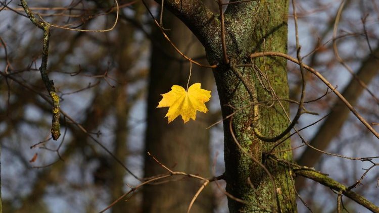 A irrefreável queda demográfica da Rússia