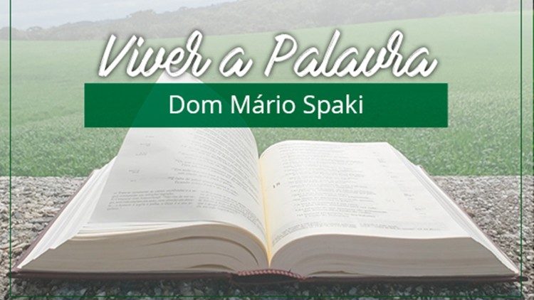 Evangelho de 13 de outubro