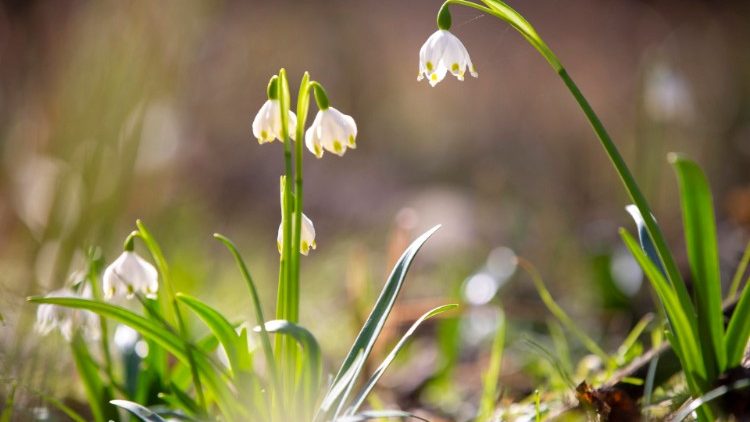 Na Coreia do Sul, acordo entre Estado e religiões para a prevenção do suicídio