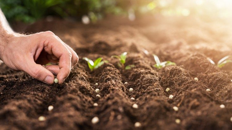 “Restarting the Economy”: evento global pelo retorno de uma “economia do suficiente”