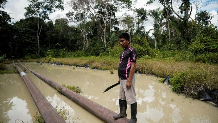 COP30: preservar a casa comum, porque nós não temos um plano B
