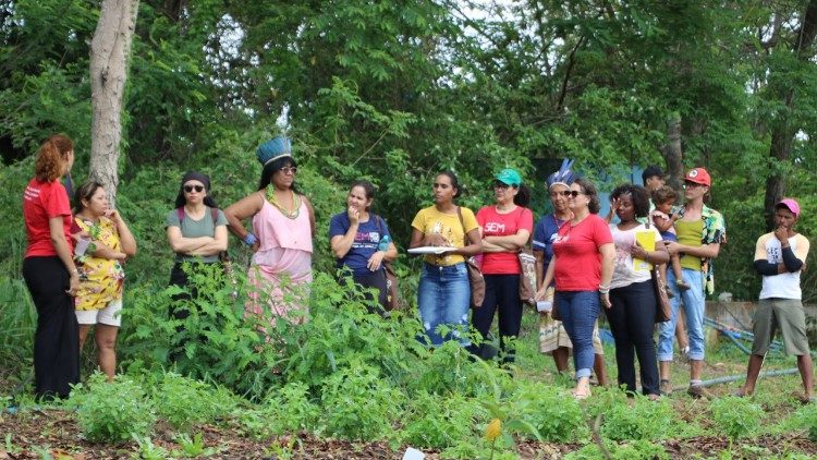 CNBB apoiou 234 projetos em 2025 de ecologia integral: mais de 900 mil pessoas beneficiadas