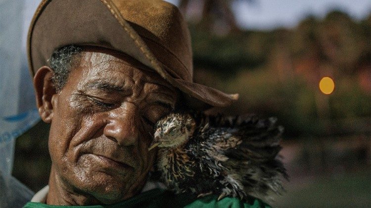 Imagem entre as melhores do ano expõe tragédia ambiental em Maceió: “Profundas rupturas sociais e emocionais”