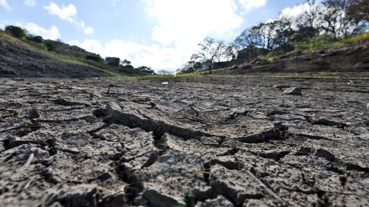 Serra Leoa, onde se trabalha pelo amor ao meio ambiente