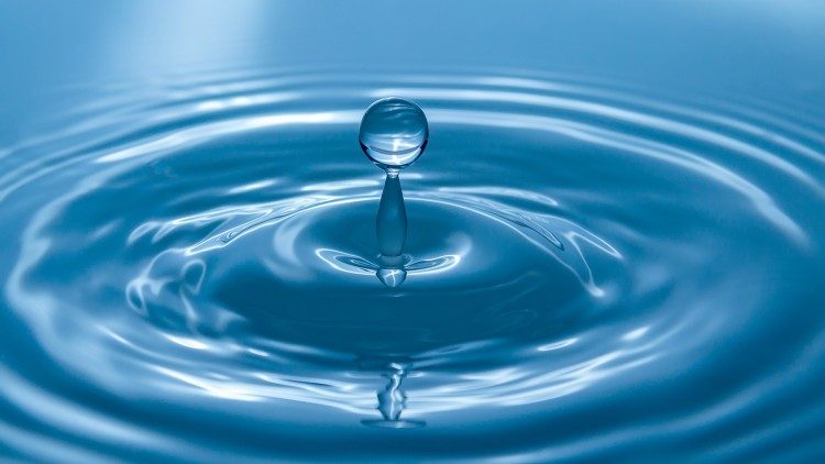 A necessidade da água para a Inteligência humana e artificial