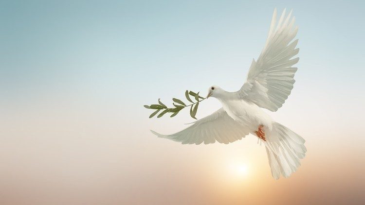 Antonio Cardoso na Canção e a Prece: “A Paz”