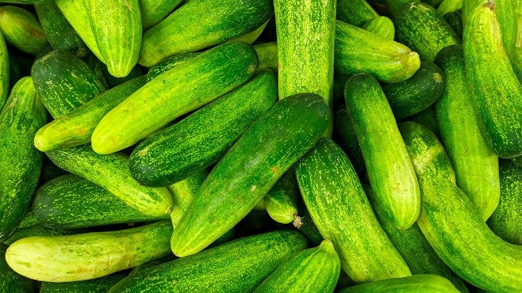 Os impostos de guerra na Rússia