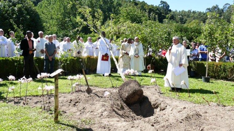Lusofonias – Da Ginkgo Biloba à Flor da Amendoeira