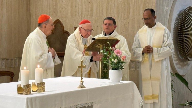 Trigésimo aniversário da Casa Santa Marta, a “Domus” da Fraternidade