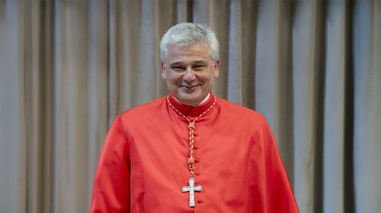 Papa nomeia novo prefeito do Dicastério para o Serviço da Caridade